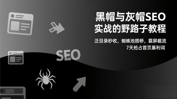 （17125期）黑帽与灰帽SEO实战的野路子教程：泛目录秒收，蜘蛛池搭桥，霸屏截流，7天抢占首页暴利词